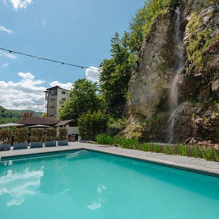 Pensiunea Apuseni Wild Remeţi エクステリア 写真