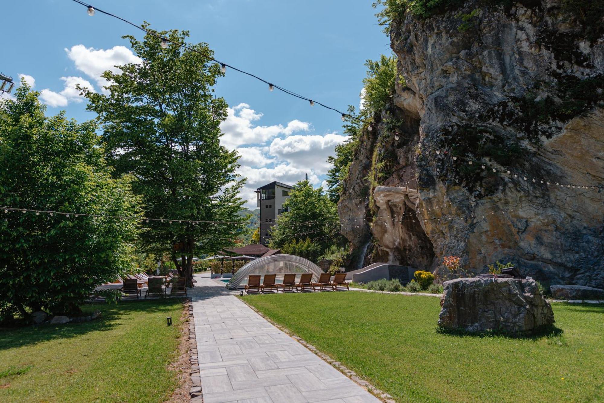 Pensiunea Apuseni Wild Remeţi エクステリア 写真