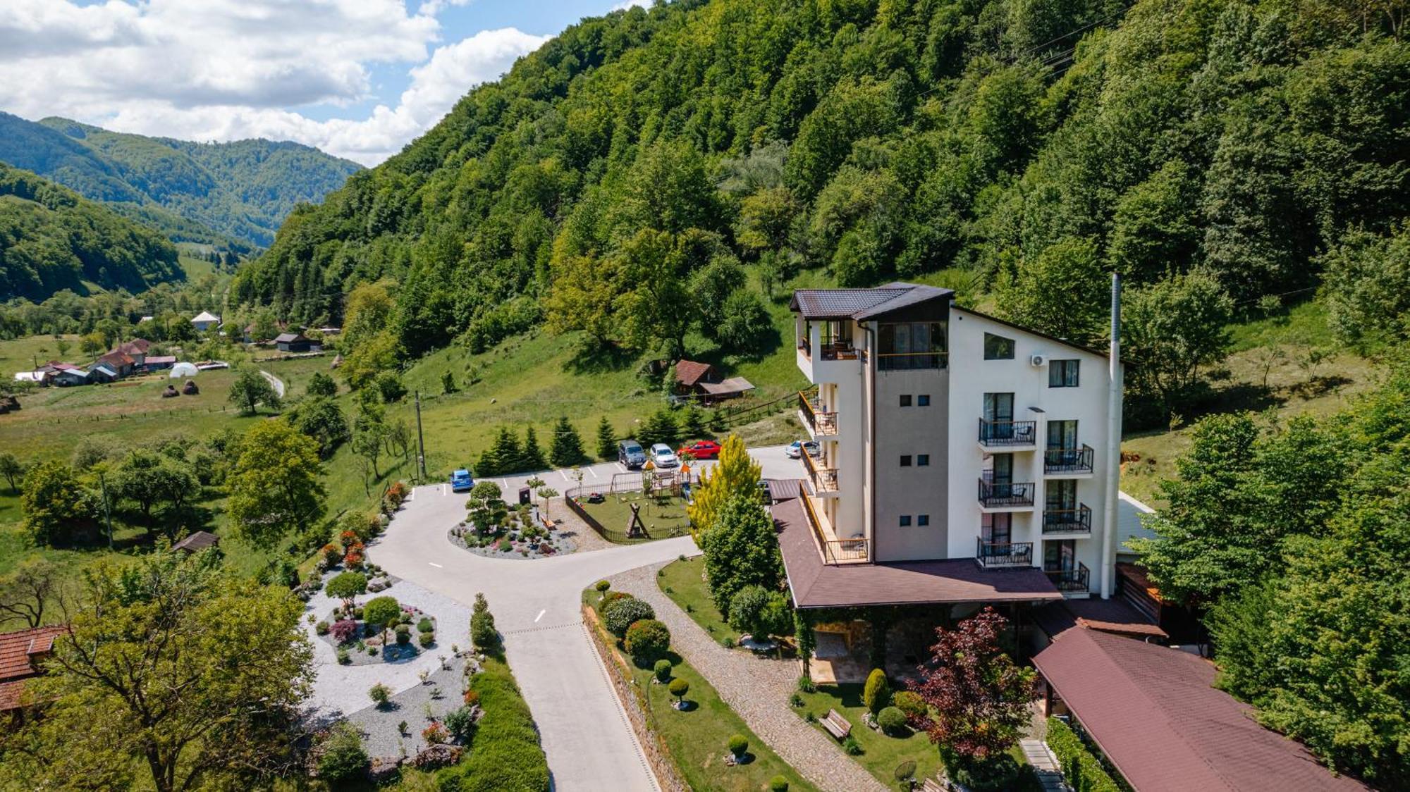 Pensiunea Apuseni Wild Remeţi エクステリア 写真